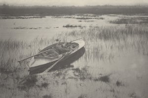Schütze arbeitet sich zu den Vögeln vor von Peter Henry Emerson, Thomas Frederick Goodall