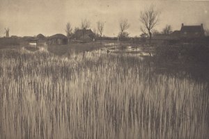 Ein schilfiges Ufer von Peter Henry Emerson
