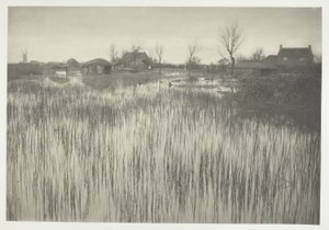Ein schilfiges Ufer von Peter Henry Emerson