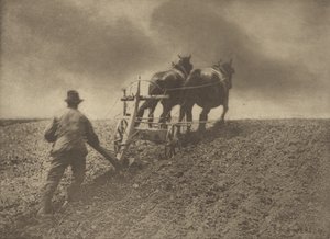 Ein steifer Zug. Suffolk. von Peter Henry Emerson