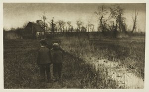 Eine Kröte auf dem Weg: Früher Frühling in Norfolk von Peter Henry Emerson
