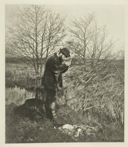An der Deckungsecke (Norfolk)