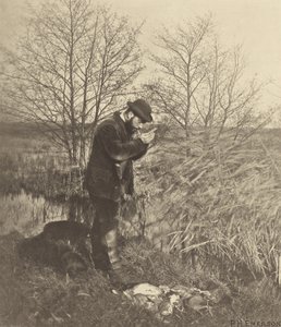 An der Covert Corner. Norfolk. von Peter Henry Emerson