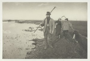 Heimkehr von den Sümpfen von Peter Henry Emerson