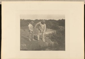 Aal-Fischen in den Gewässern von Suffolk von Peter Henry Emerson