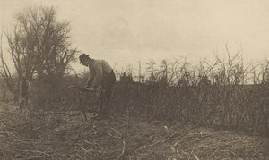 Fechten in Suffolk von Peter Henry Emerson