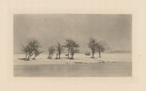 Knotige Dornbäume von Peter Henry Emerson