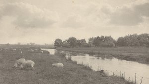 Auf dem Fluss Bure, 1886 von Peter Henry Emerson