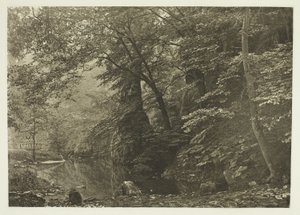 „Pike Pool“ (von unten) von Peter Henry Emerson