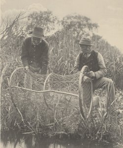 Aufstellen des Fangnetzes von Peter Henry Emerson