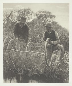 Das Aufstellen des Bogennetzes von Peter Henry Emerson
