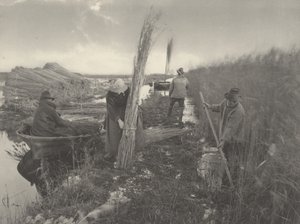 Während der Schilfernte von Peter Henry Emerson and T.F. Goodall