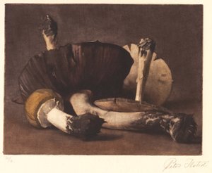 Gelber Pilz von Peter Vilhelm Ilsted