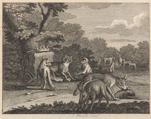 Der Schakal, Leopard und andere Tiere von Peter Mazell