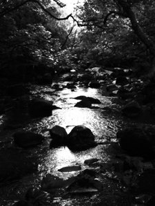 Kintyre... Plus. 18 von Peter McClure