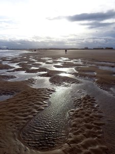 Niedrigwasser Hartlepool, 2016