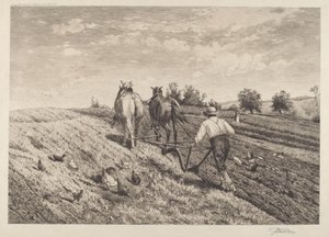 Der Pflüger