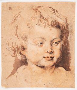 Barnehoved von Peter Paul Rubens