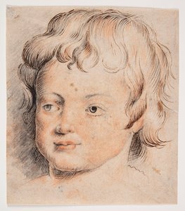  von Peter Paul Rubens