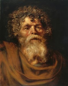 Bildnis eines bärtigen alten Mannes von Peter Paul Rubens