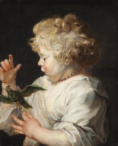  von Peter Paul Rubens