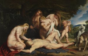 Der Tod des Adonis von Peter Paul Rubens