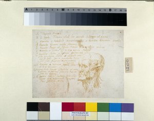 Ecorché-Kopf mit den Zügen des Kaisers Galba von Peter Paul Rubens