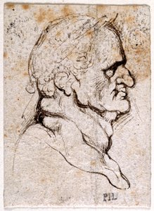 Galba, nach Giovanni da Cavino
