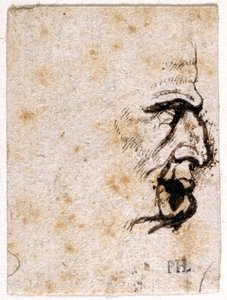 Galba, nach Giovanni da Cavino von Peter Paul Rubens