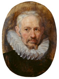 Kopf eines alten Mannes von Peter Paul Rubens