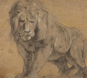 Löwe, ca. 1612-13