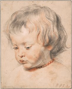 Nicolaas Rubens mit einer Korallenkette, ca. 1619 von Peter Paul Rubens