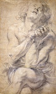 Sitzender männlicher Jugendlicher (Studie für Daniel) von Peter Paul Rubens