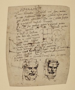 Studie des Farnesischen Herkules von Peter Paul Rubens