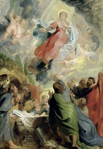 Die Himmelfahrt der Jungfrau Maria von Peter Paul Rubens