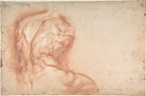  von Peter Paul Rubens