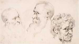  von Peter Paul Rubens