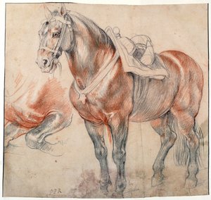 Ein gesatteltes Pferd von Peter Paul Rubens
