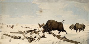 Büffeljagd, ca. 1822-1824