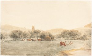 Eine Wiese mit Vieh in der Nähe von Glastonbury von Peter de Wint
