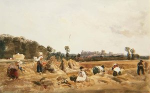 Kornfeld, Windsor von Peter de Wint