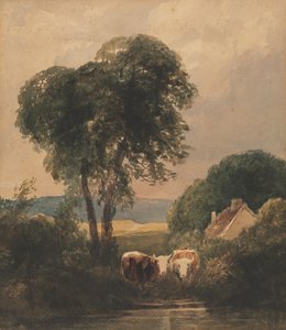 Walisische Landschaft mit Vieh