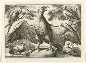 Adler von Peter van Liesebetten
