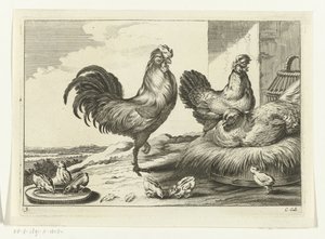 Huhn, Hähne und Küken von Peter van Liesebetten