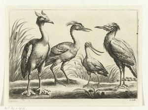 Vier Watvögel von Peter van Liesebetten