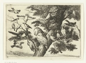 Vögel in einem Baum von Peter van Liesebetten