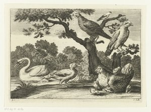 Schwan, Henne mit Küken und andere Vögel von Peter van Liesebetten