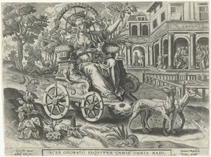 Geruch (Odoratvs) von Petrus Cool