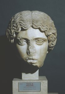 Kopf einer Amazone