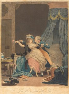 Die schlecht verteidigte Rose